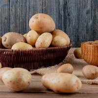 Potato