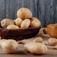 Potato