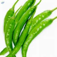 Green Chilly