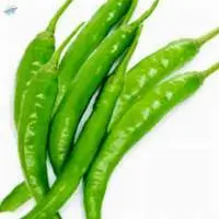 Green Chilly
