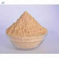 Dehydrated Garlic Powder