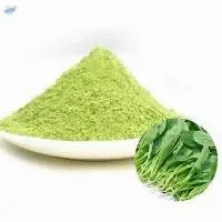 Dehydrated Spinach Powder