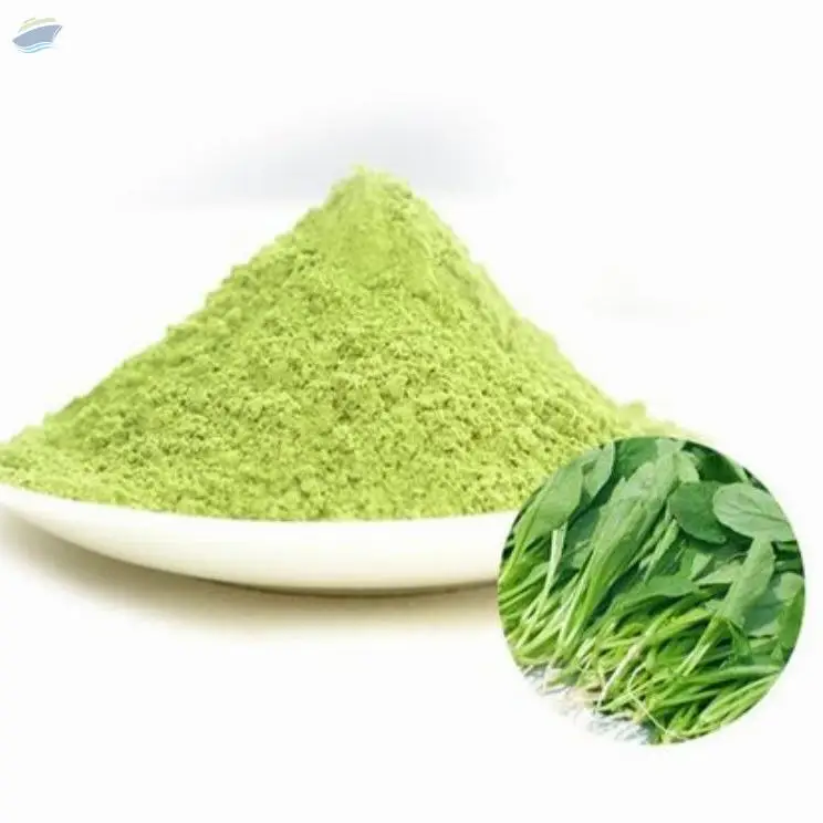 Dehydrated Spinach Powder