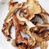 Dehydrated Mushroom