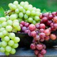 Grapes