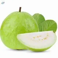 Guava