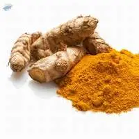 Turmeric Fingers