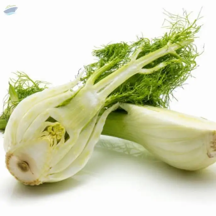 Fennel Seeds