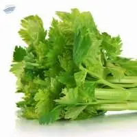 Celery Seeds