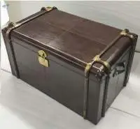 Coffee Trunk (Top Storage )