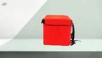 Pizza Delivery Bag