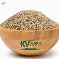 Quinoa Seeds