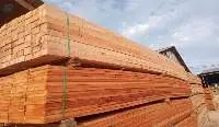 Grandis Eucalyptus Sawn