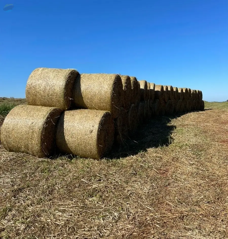 Hay, Alfalfa And Gatton Panic Bales