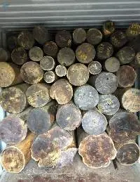 Guayacan Cylinders Wood Log