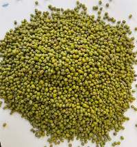 Green Mung Bean