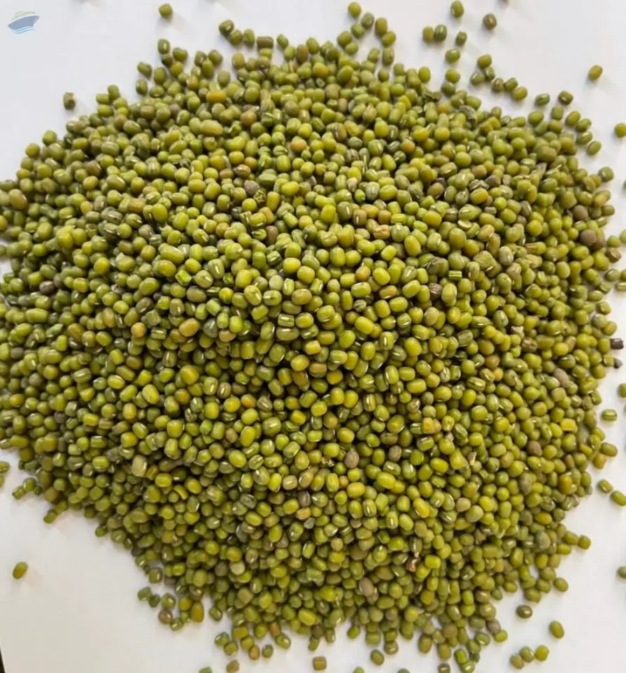 Green Mung Bean
