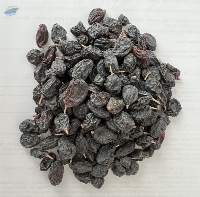 Black Raisin
