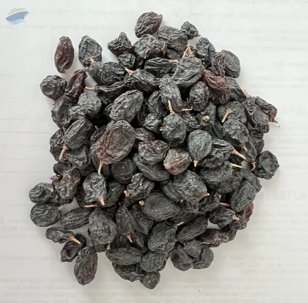 Black Raisin