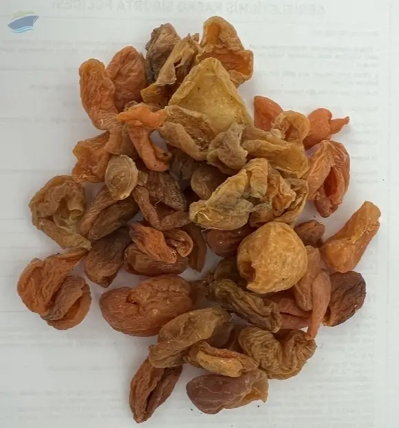 Dried Apricot