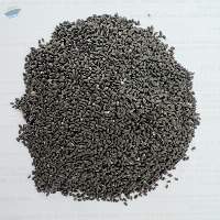 Basil Seed