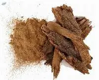 Organic Acacia Arabica (babul)