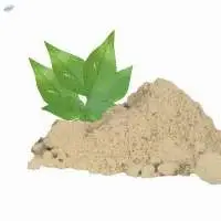 Vilvam Powder (Bael Leaf Powder )