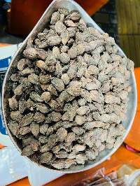 Black Cardamom