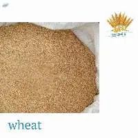 Wheat