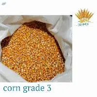 Corn