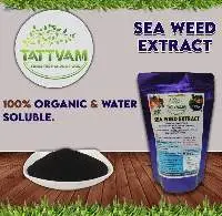 Seaweed Extract