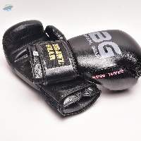 Brawl Gear Glorious Boxing Gloves