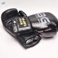 Brawl Gear Glorious Boxing Gloves