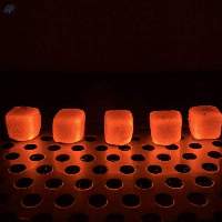 Coconut Charcoal Briquettes
