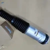 Range Rover Shock Absorber - LR087084