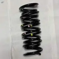 Coil Spring , Part Number : 99134353122504