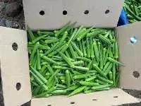 Fresh Okra