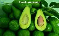 Fresh Avocado 