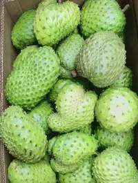 Soursop Fruit