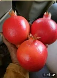 Fresh Pomegranate