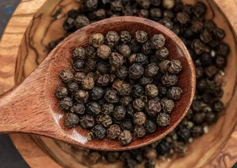 Black Pepper -All Varities