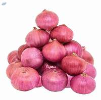 Fresh Onion