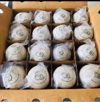 Fresh Tender Coconut