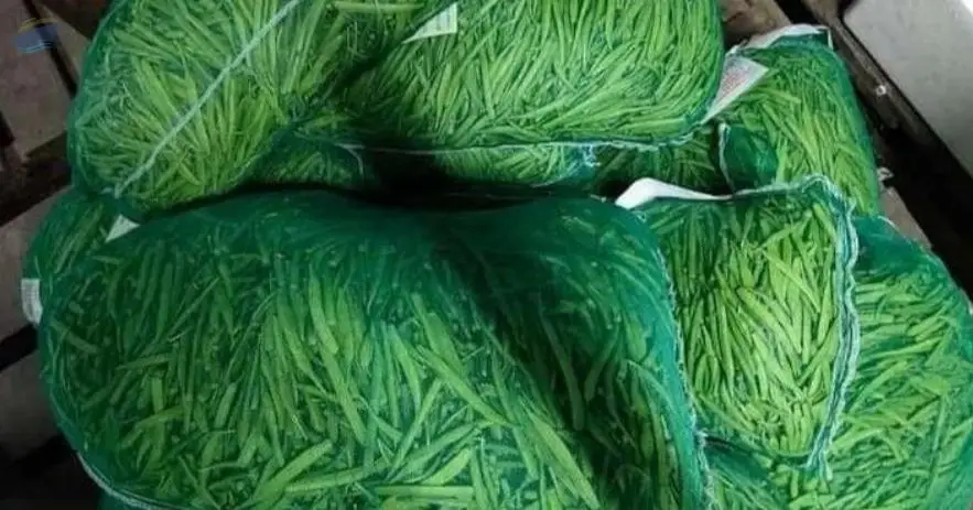 Fresh Cluster Beans (Guargum)