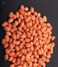 Java Peanuts