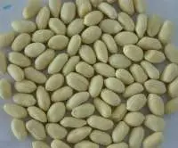 Blanched Bold Peanuts