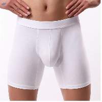 Brief Boxer
