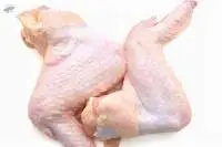 Frozen Chicken