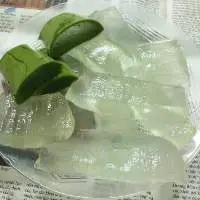 Aloe Vera Cubes with Syrup