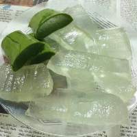 Aloe Vera Cubes No Sugar